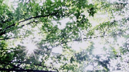 (SOLAR of MAMAMOO) -  (In My Dreams) MV[超清版]