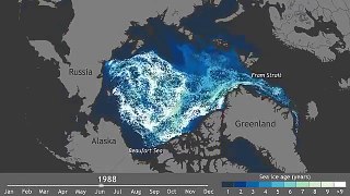 Движение льдов Арктики за 27 лет показали за минуту