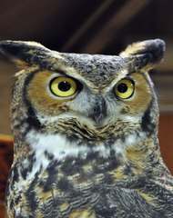 네임드사다리패턴 달팽이레이싱 SuperCar777。com 가입코드6623 라이브카지노