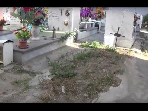 Aversa (CE) - Cimitero, dopo la protesta rimosse le erbacce al Campo R (15.07.16)