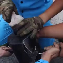 Sauvetage d un chiot bloqué dans un tuyau en Thailande !