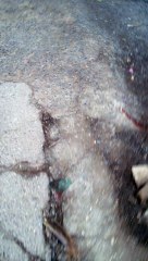 deepest navel ever seen in saree