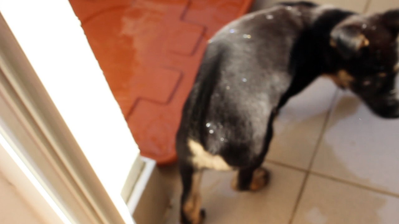 Stella swimming pool time on the balcony May 2016