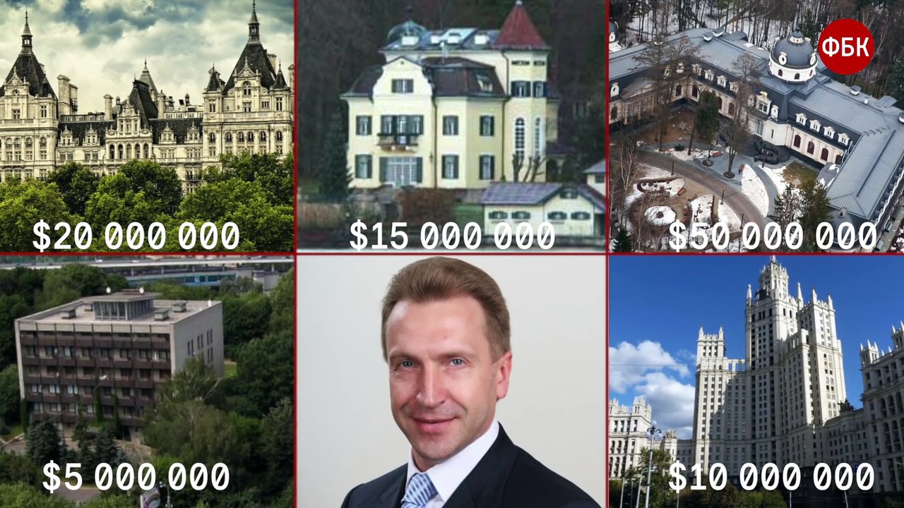 Собаки Шуваловы летают на частном самолёте