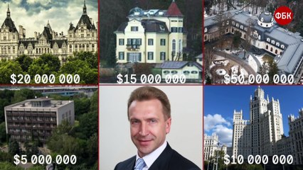 Собаки Шуваловы летают на частном самолёте