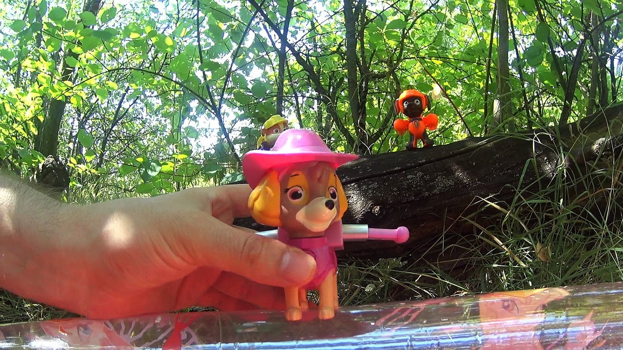 Peppa Pig Fell in the Pool with Condensed Milk ⚫ Paw Patrol Rescues Guinea Pig Peppa