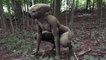 Documentaire ovni 2016 - Les visiteurs - présence des extraterrestres sur terre - en français