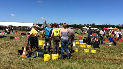 Championnat d'Endurance. Journée ensoleillée pour les chevaux