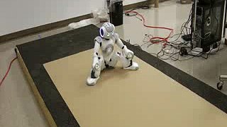 AMBER Lab - Nao Robot Walking - Attempt 2