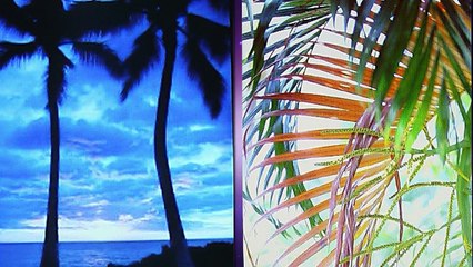 Vincent LAMMOUR Sous les palmiers INSTRUMENTAL