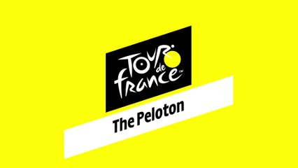 Tour de France guide: peloton