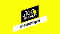 Tour de France guide: domestiques