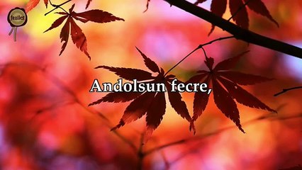 fussilet Kuran Merkezi Tanıtım Videosu