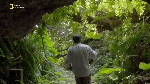 Суперсооружения Третьего рейха 3 сезон 6 серия. Японские защитные суперсооружения / Nazi Megastructures (2016) HD 720p