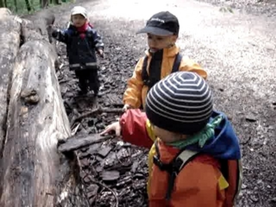 Zimmermann spielen