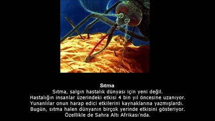 EN ÇOK İNSAN ÖLDÜRMÜŞ 10 KORKUNÇ HASTALIK