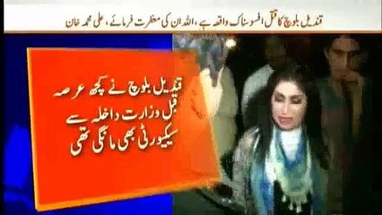 Before Murder Qandeel Baloch Requested For Security