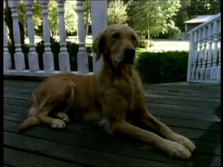 Chair de Poule - La Tour De La Terreur  Part  1