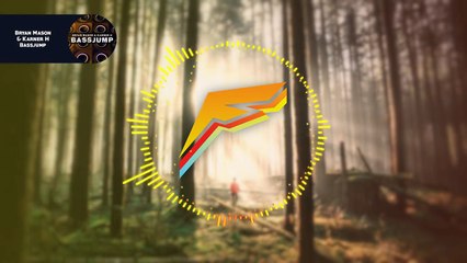 Bryan Mason & Karner H - Bassjump