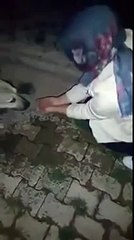 Dog thanks a girl after she helped him to drink water by her hands!