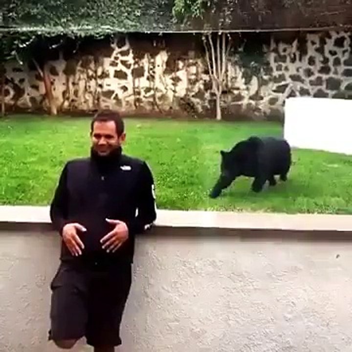 Funny black cat attack