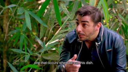 "El Somni", a film by Franc Aleu & El Celler de Can Roca - Promo