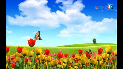 تخيل - صدقنى راح تتغير بعد سماع هذا الفديو الرائع - ESTFED