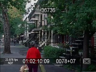 1972 Av. Mont-Royal et Rue Fabre, ONF