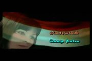 الشاعر سامح جمعه والنجمه شروق - كليب عاشقة البلد دى