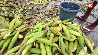 Ceasa espera aumentar em 20% venda de milho
