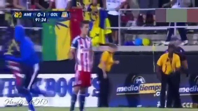 Top Funny Craziest Pitch Invaders Ever