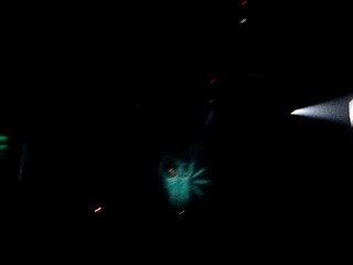 Circoloco Rome 2008 (24-04-08) - Tania Vulcano part4 (Solomun - Lambada)