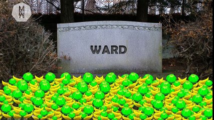 RIP Wards - League of Legends