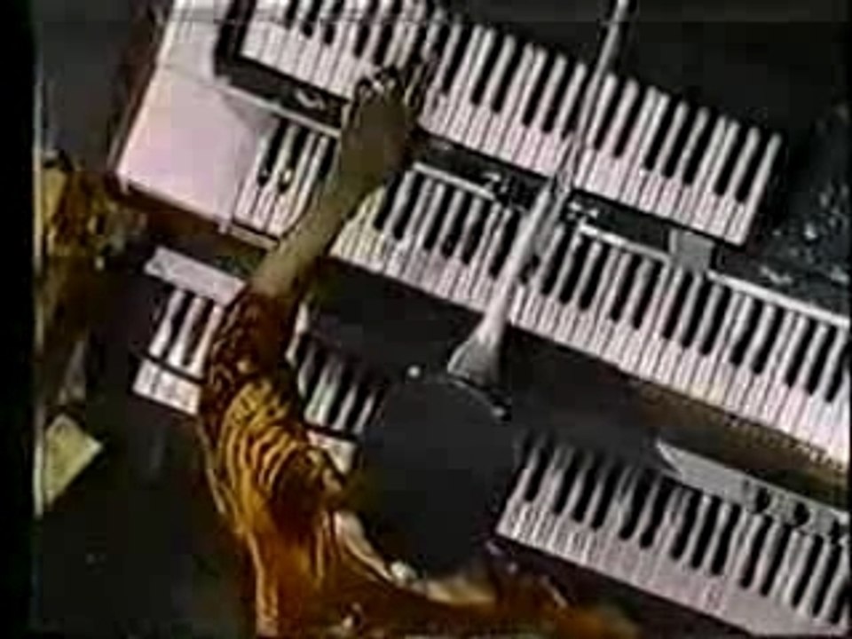 SWonder talk box 1972