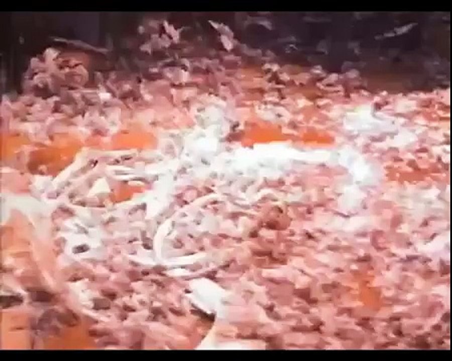 Los Morts - Masacre en Texas (Horror Punk)