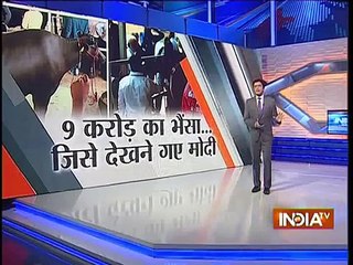 The Buffalo costs Worth Rs 9 Crore