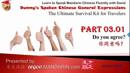 General Chinese Expressions 3.01 - Do you agree 你同意吗