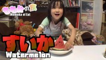 【Eat】This year  s first ! Momoka eat watermelon 今年初！スイカを食すももか