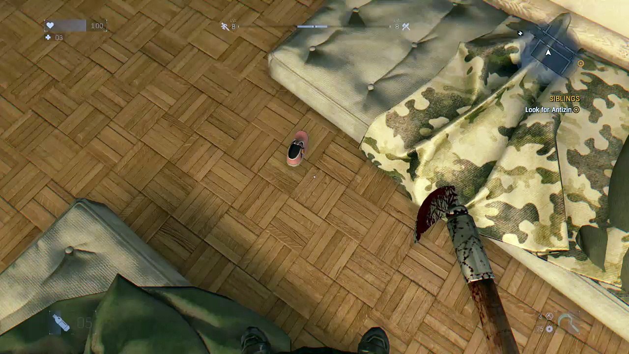 Dying Shoe