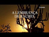 O Centenário da seca - A lembrança de Rachel