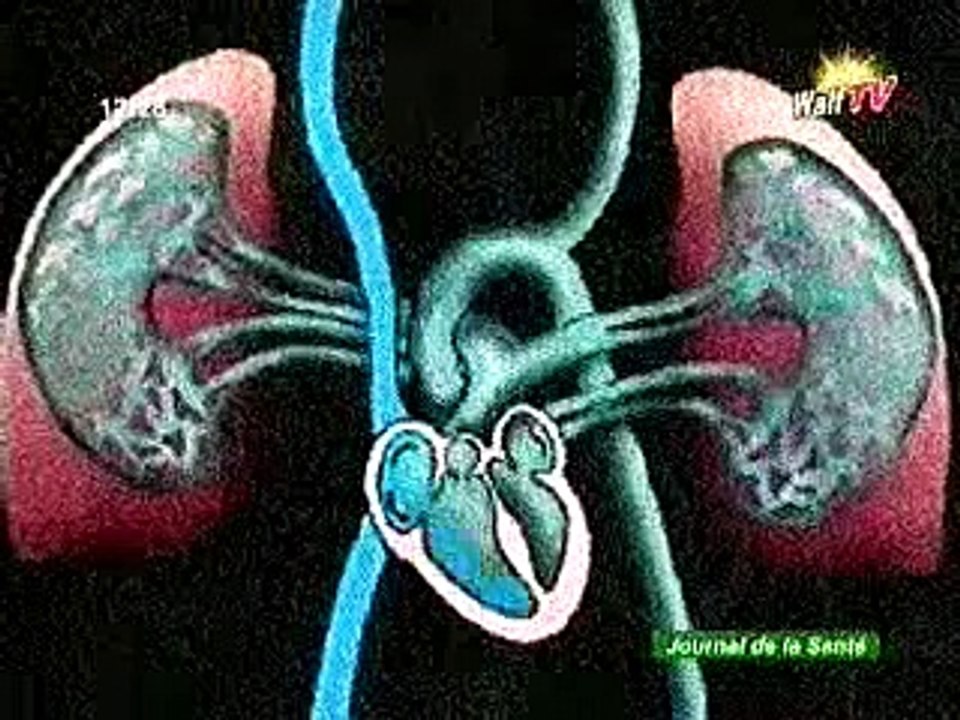 journal français walf tv du 25 fev 2011 3