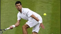 Novak Djokovic vs Sam Querrey The Championships Wimbledon tennis Review