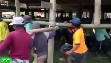 FAILS & WINS Compilation 2016 ★ Funny FAIL and WIN Videos ★ JUNE 2016