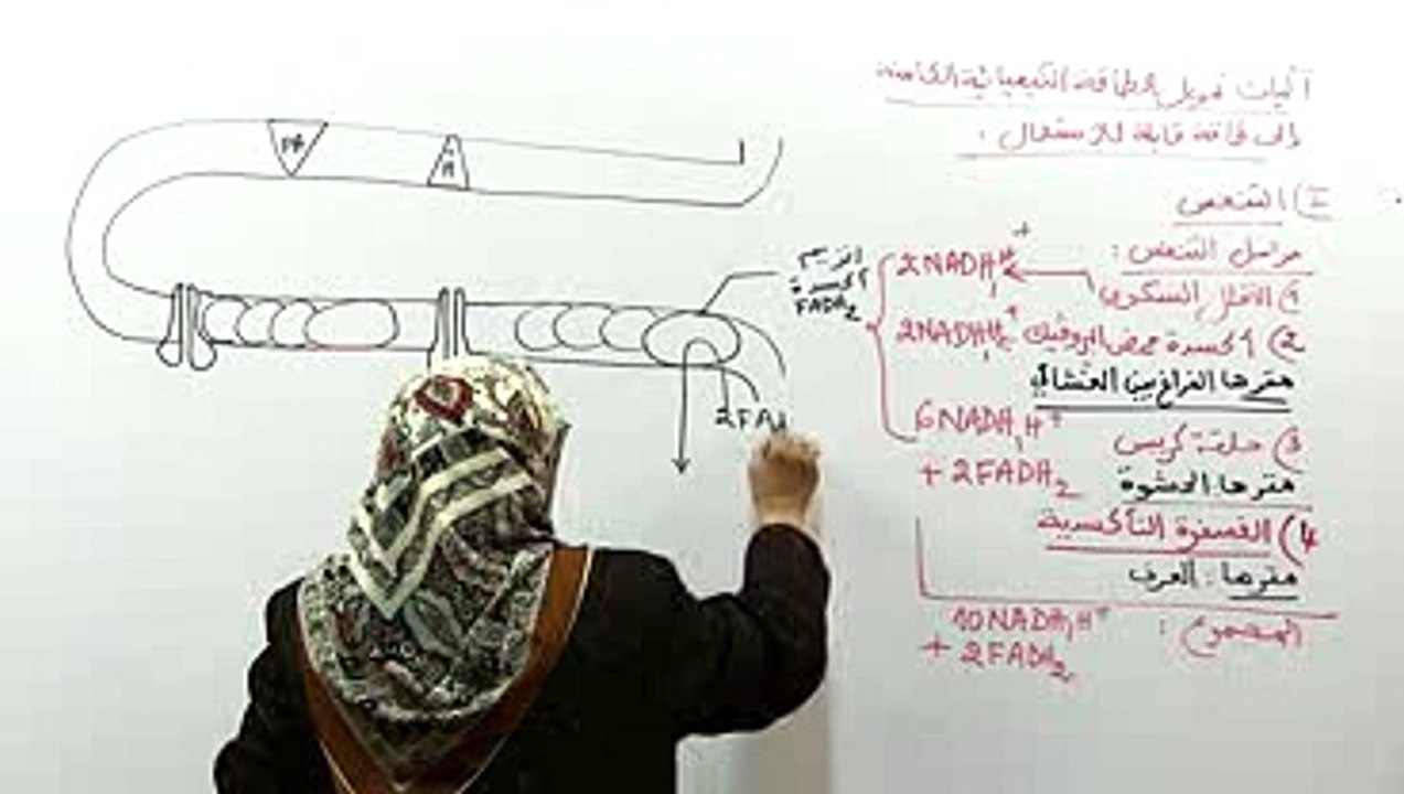 الفسفرة التأكسدية