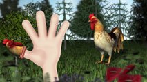 3D Farm Birds Finger Family Song   3D Daddy Finger Animal Nursery Rhyme for Children