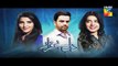 Dil E Beqarar Episode 14 Promo HD HUM TV Drama 13 July 2016