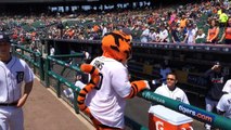 Detroit Tigers pregame handshakes