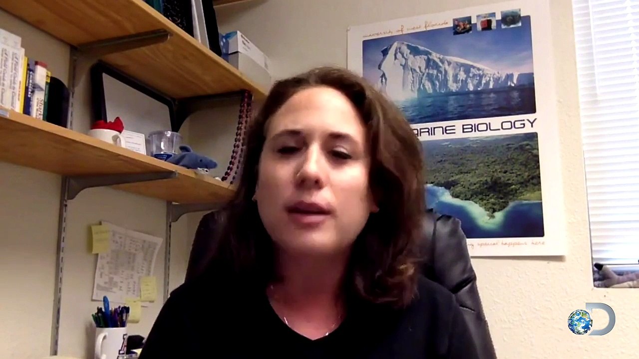 Women at the Forefront of Shark Science