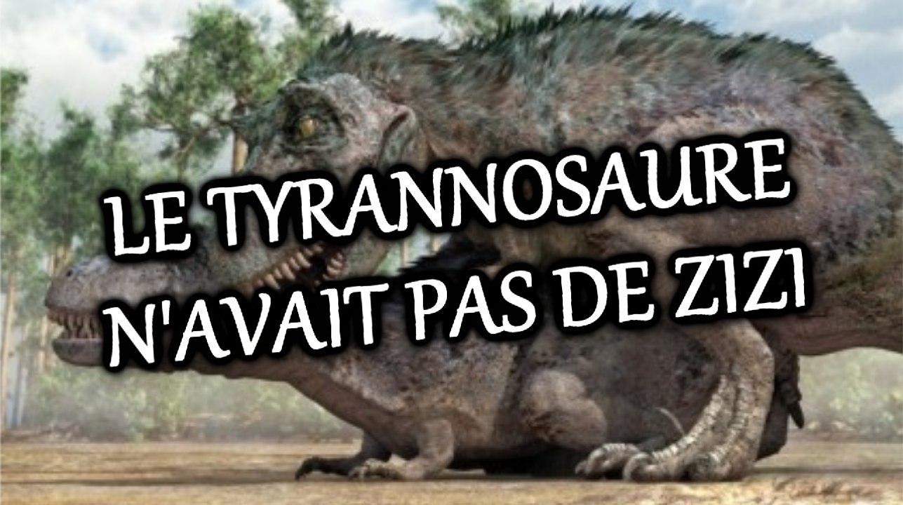 PALÉOWORLD 7 - LE TYRANNOSAURE N'AVAIT PAS DE ZIZI