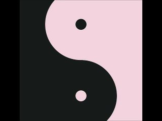 Black Pink (FL DAY REMIX)